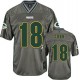 Men Nike Green Bay Packers &18 Randall Cobb Elite Grey Vapor NFL Jersey