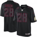 Men Nike Washington Redskins &28 Darrell Green Elite Black Impact NFL Jersey